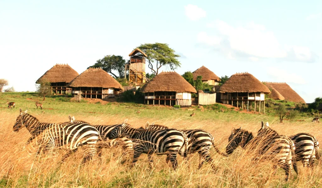 oeganda wildplaces africa