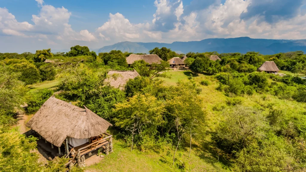 Oeganda wild tent