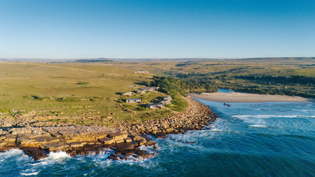Sardine Run Zuid-Afrika | Atlas Reizen