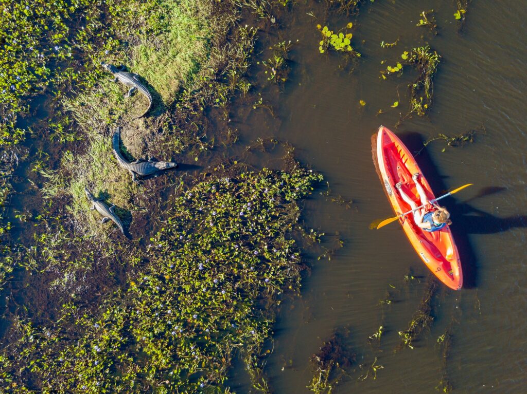 kajakken ibera wetlands