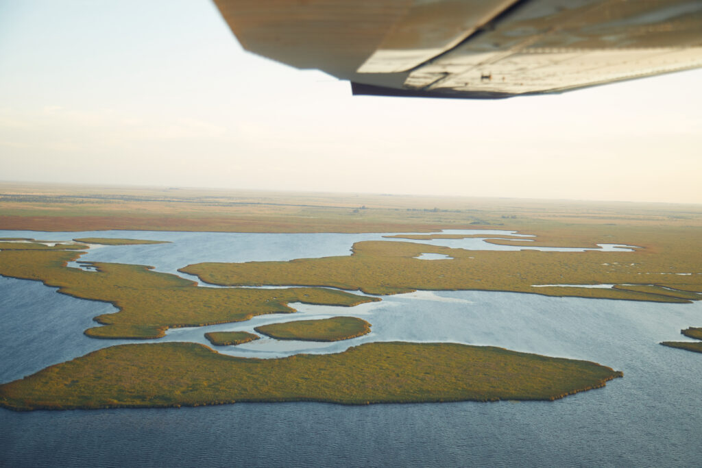 Naar de Iberá wetlands