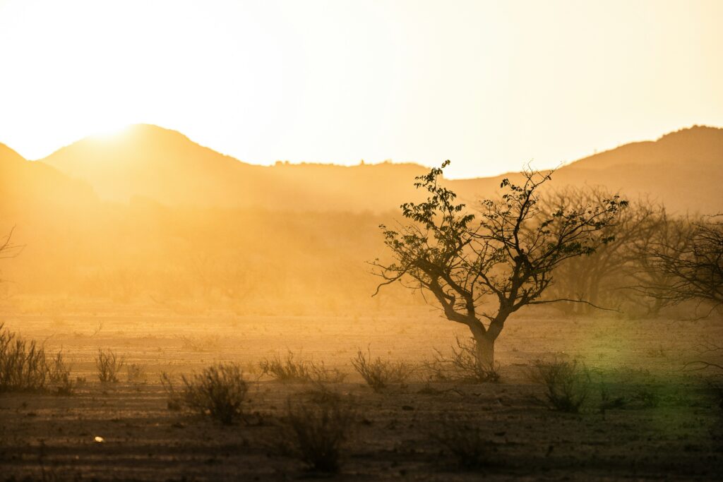 Afscheid van Damaraland