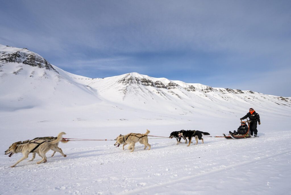Longyearbyen & de honden (B, -, -)